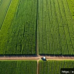농업 관련 소프트웨어 개발 - A high-resolution aerial view of a vast modern farm field captured by a drone flying autonomously un...