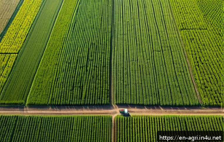 농업 관련 소프트웨어 개발 - A high-resolution aerial view of a vast modern farm field captured by a drone flying autonomously un...